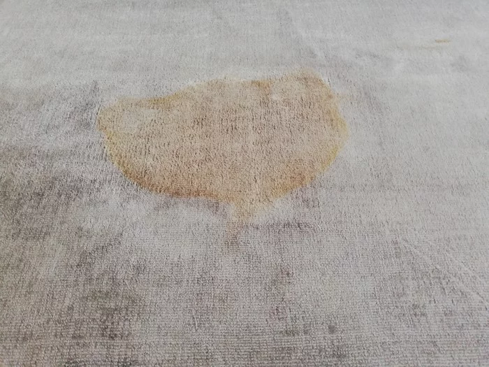 How to remove a stain on a carpet - My, Spot, No rating, Carpet