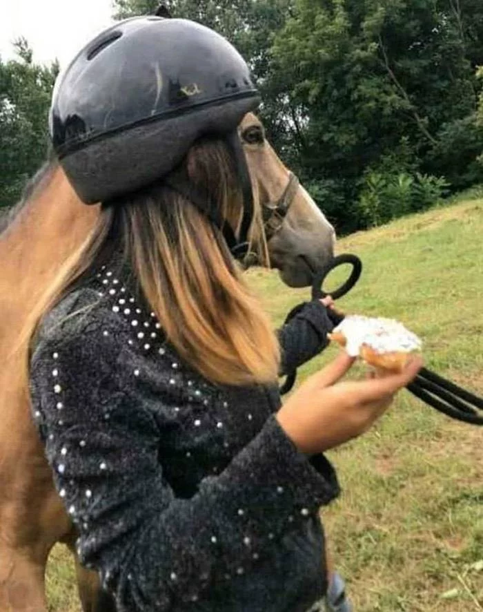 Horse in a helmet. - Horses, It seemed, Humor, Optical illusions, The photo