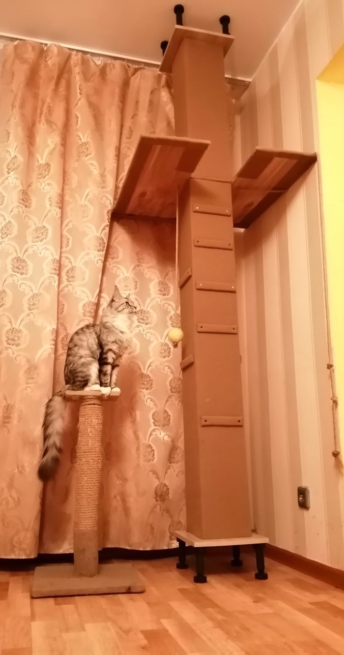 Как сделать гриву для кота. Смотреть фото Как сделать гриву для кота. Смотреть картинку Как сделать гриву для кота. Картинка про Как сделать гриву для кота. Фото Как сделать гриву для кота