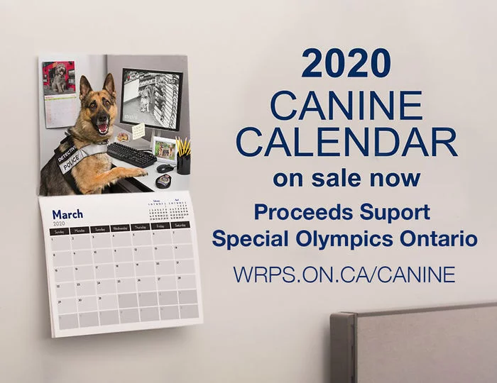 Calendar photos about the workdays of police dogs - Cynology, k-9, A selection, Police, Service dogs, Longpost, Dog