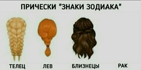 Hairstyles Zodiac Signs - Zodiac signs, Humor, Joke, Memes, Прическа