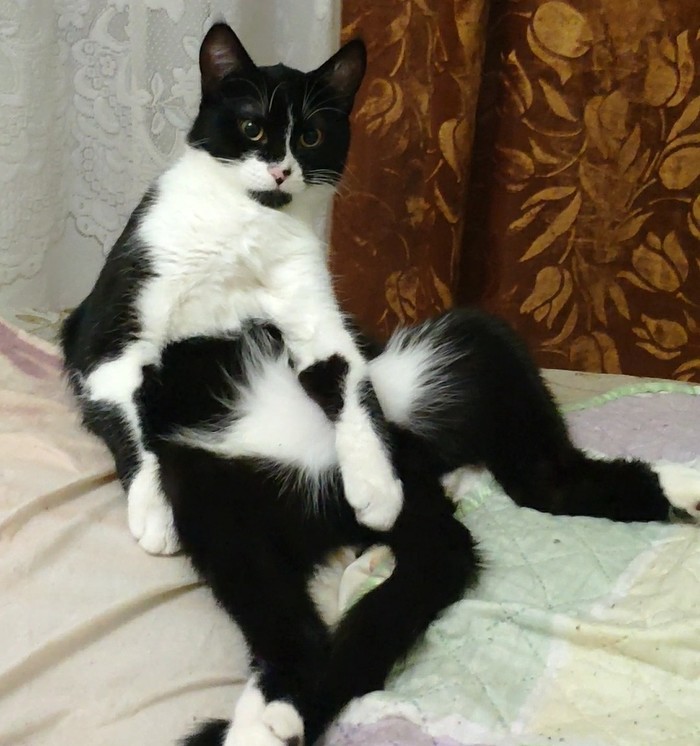   ))) , -, 