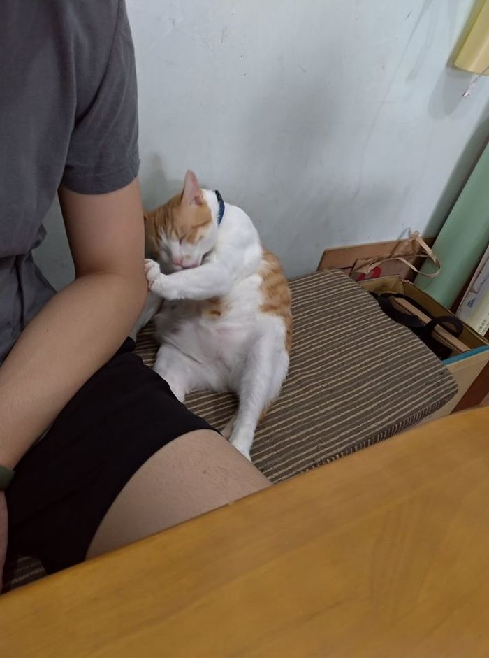    , , , , , 