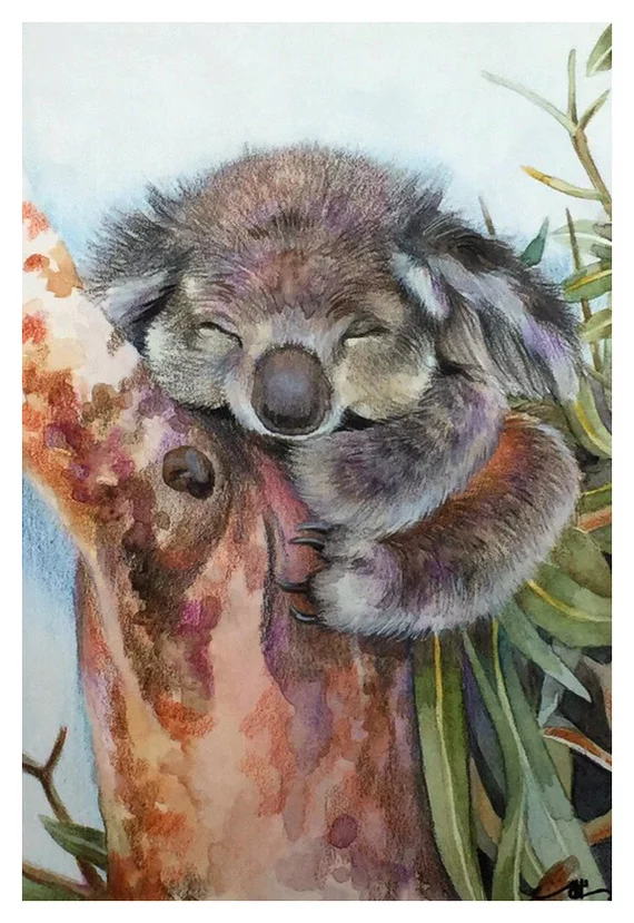 Koala (watercolor) - My, Creation, Watercolor, Watercolor pencils, Drawing, Animals, Koala, Okta23