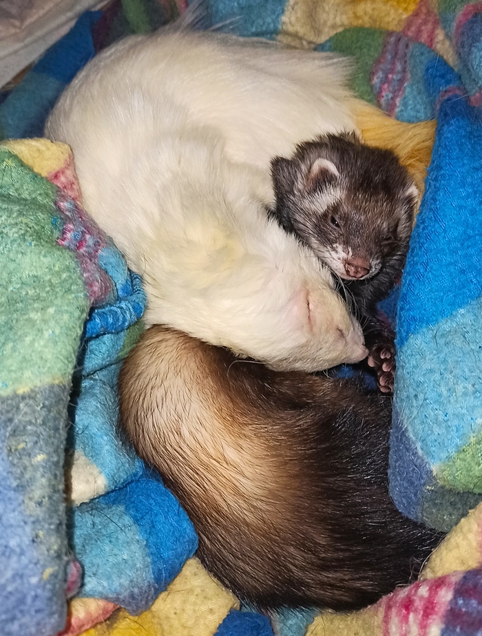 ��� �� ��������, ��� ����