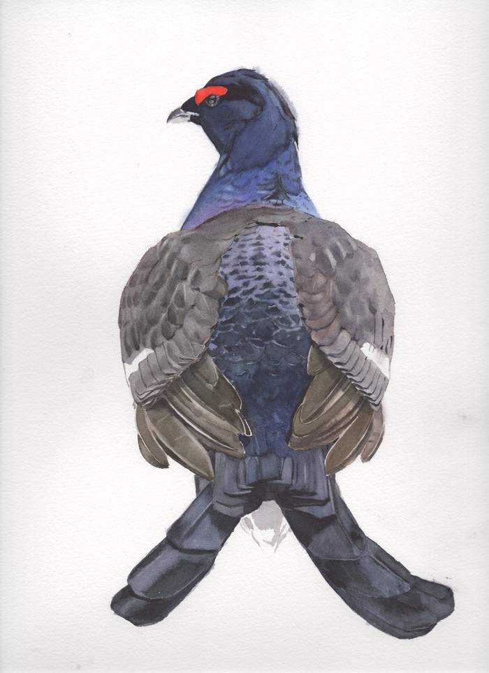   , , , , , , 