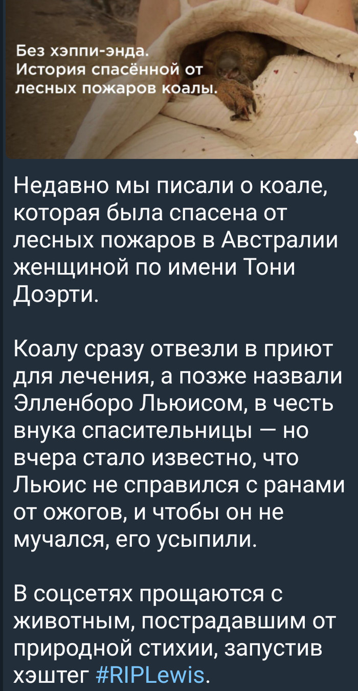 ������� ������ ��������...