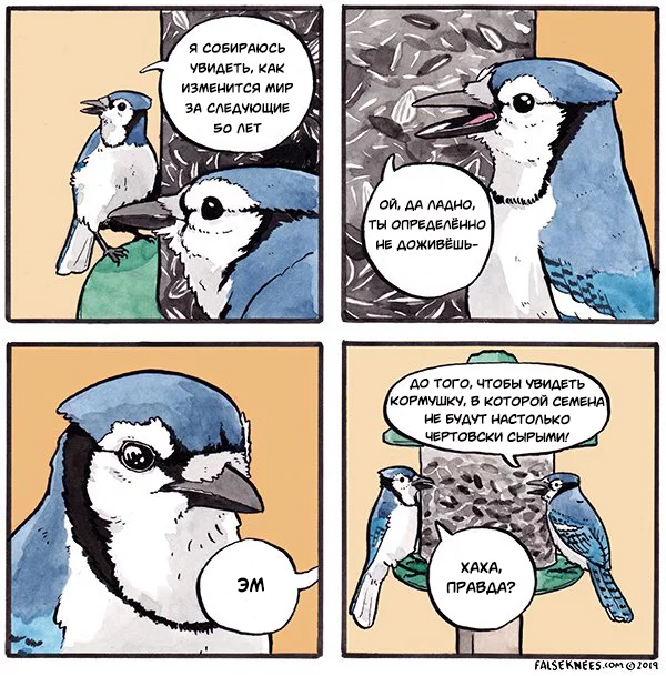 Plans - Falseknees, Comics, Translated by myself, Birds, Trough