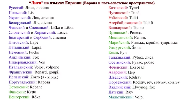 Fox in the languages ??of Europe, Russia and post-Soviet countries - Fox, Linguistics, Languages of Europe, Eurasia, Comparison, The words, Language