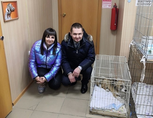 Omsk deputy Stepan BONKOVSKY “Helping animals is everyone’s duty” - Kindness, Animals, Homeless animals, Deputies, Russia, Omsk, Charity, Longpost, Politics