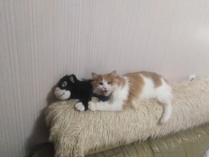 ���, ������ ���