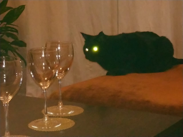 ����� �������