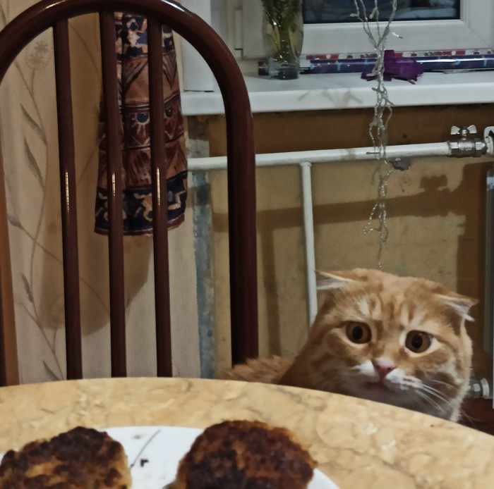 ����� ����, ���,�� ����� �� ������ ��������