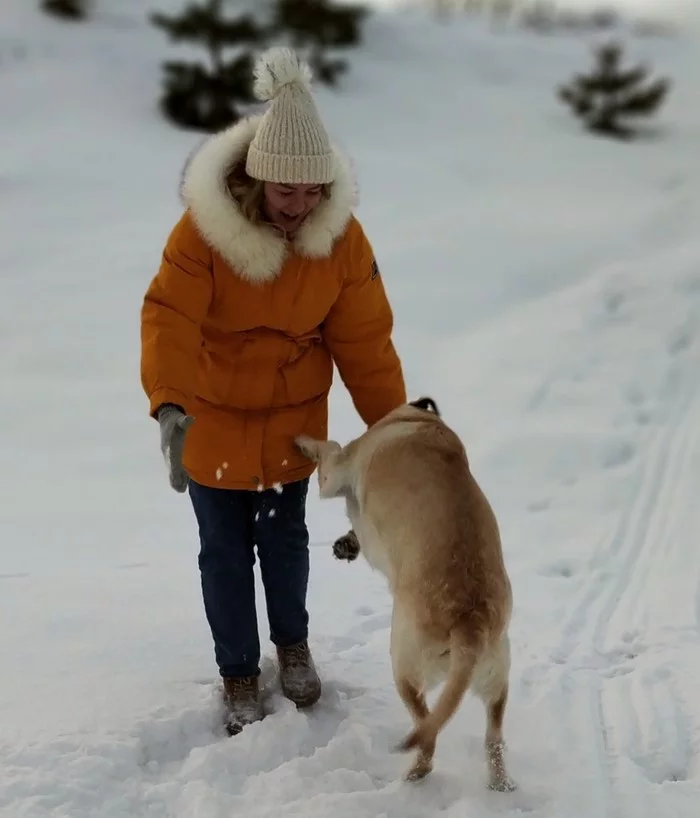 The story of how I wanted to take a photo with my dog - My, Dog, PHOTOSESSION, Longpost, Labrador