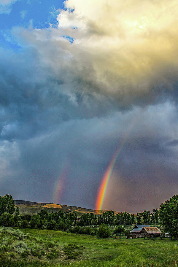 Rainbow , 