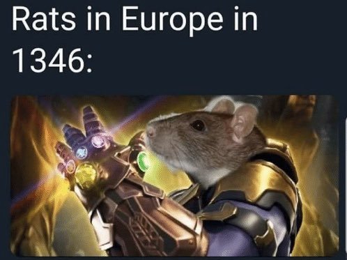 Supernova - Rat, Plague, Europe, Thanos, Gloves