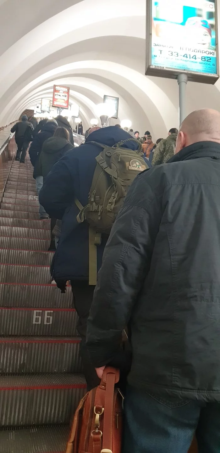 Ours in the subway - Longpost, Pick-up headphones, Bravery and stupidity, Saint Petersburg, My
