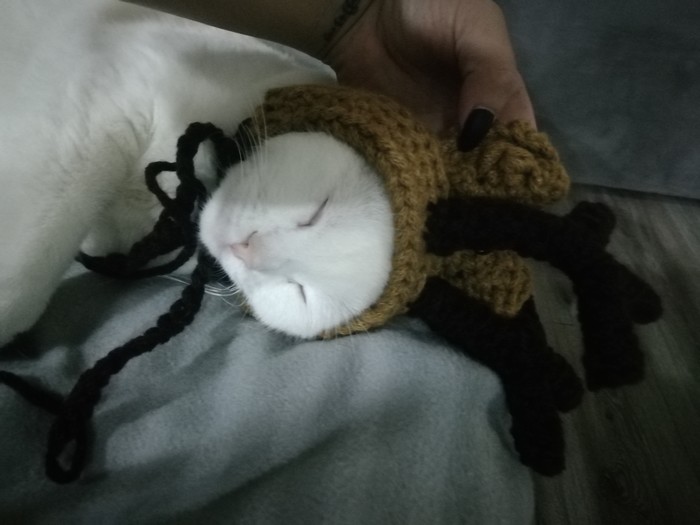 Маленький олень