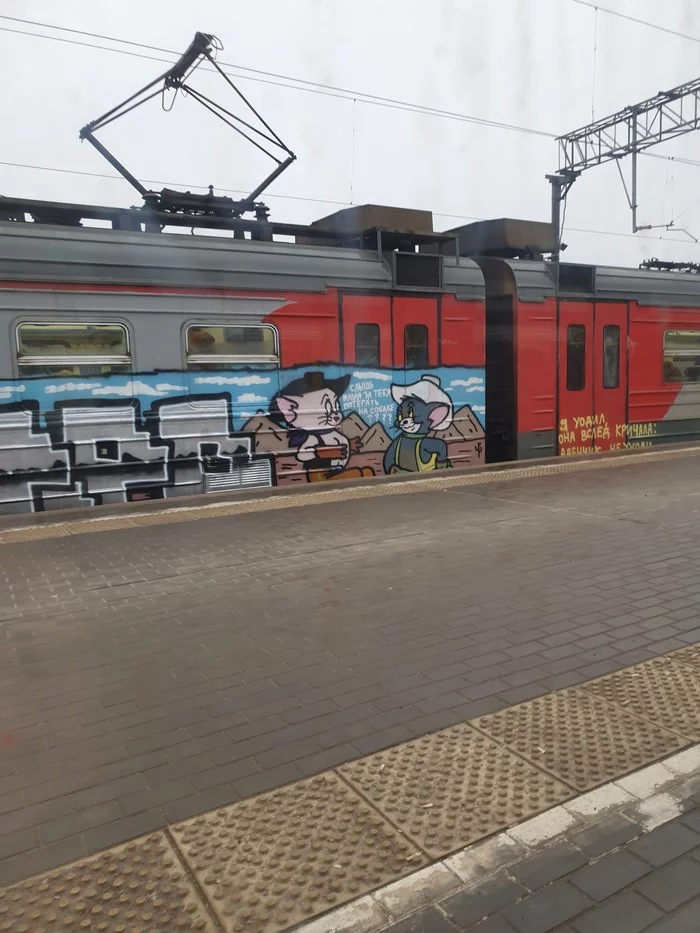 Graffiti on the train - Graffiti, Vandalism, Train, Longpost