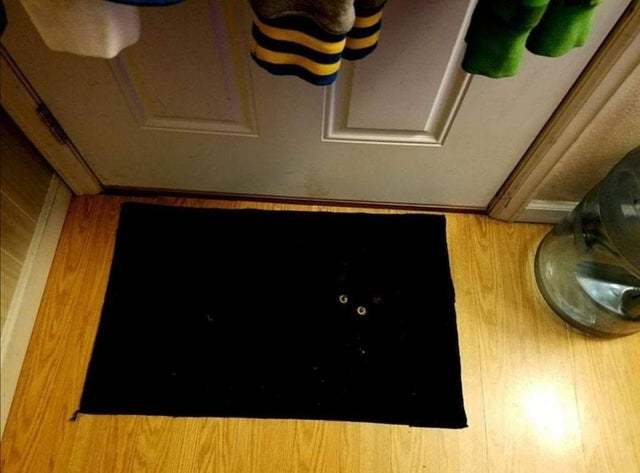 How does a cat match with a rug? - cat, Mat, Black, Black cat, Eyes, Dark, Pets