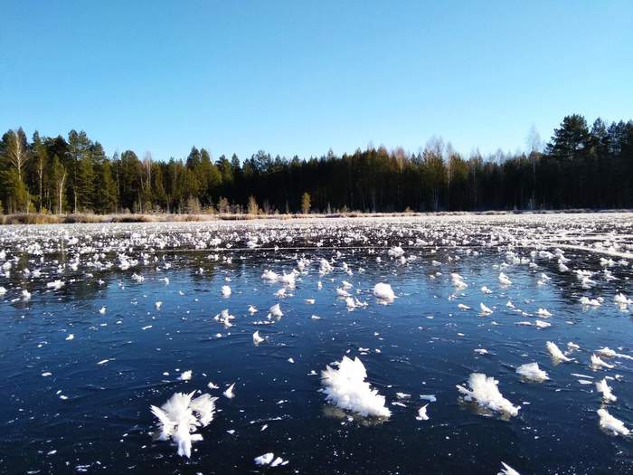 ice flowers - My, beauty of nature, Mobile photography, Ice, freezing, Lake, Longpost