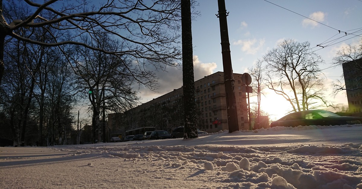 Проспект тореза. Проспект Тореза Санкт-Петербург. Торез природа.