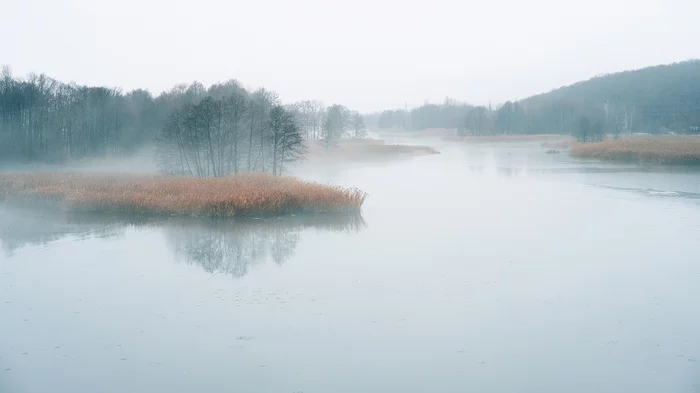 The last day of this autumn was like this: - My, River, Fog, Autumn, November, Voronezh, Longpost