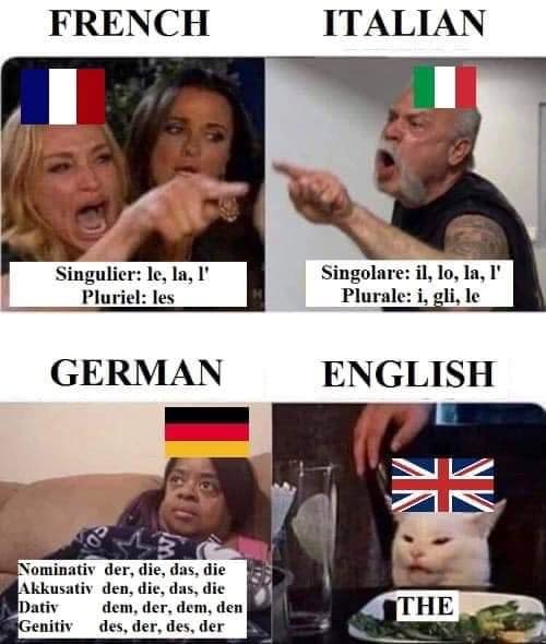 THE - Language, English language, French, Italian language, German, Two women yell at the cat, Memes, Articles