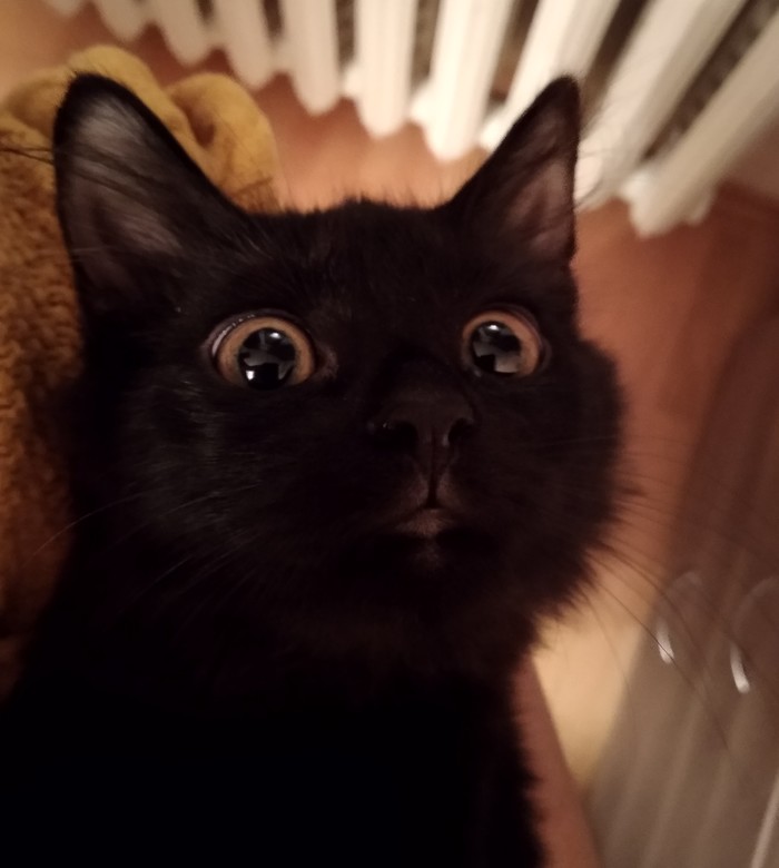      !  , ,   , , , , ,  