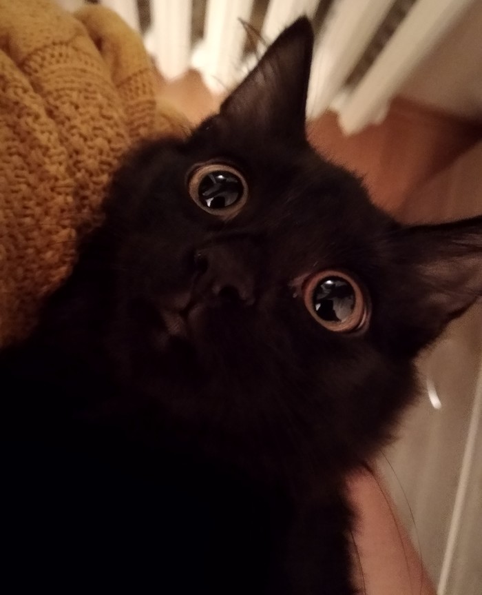      !  , ,   , , , , ,  