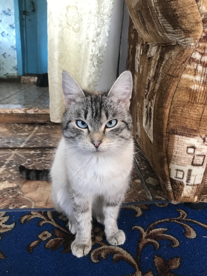 ������� � ��������� �� �������