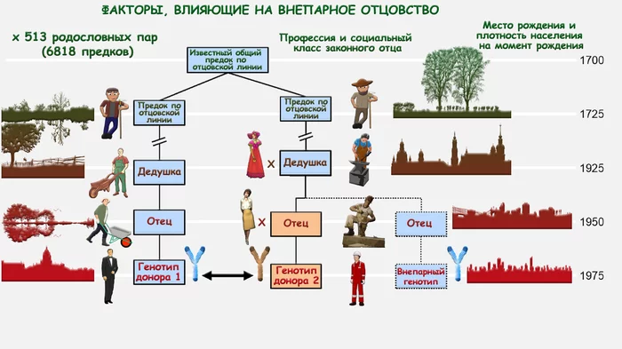 Супружеские измены в прошлом. Историко-генетическая реконструкция - Моё, Наука, Видео, Измена, Генеалогия, История, Исследования, Генетика, ДНК, Гифка, Длиннопост