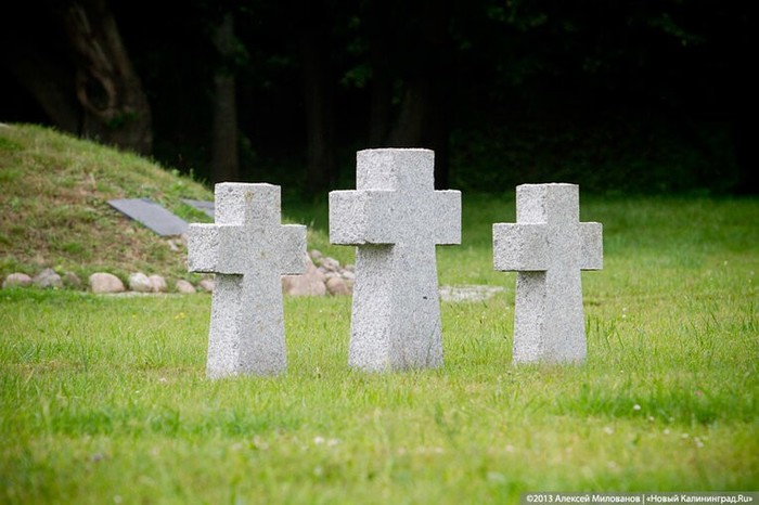 ����������� ������ ��������� ��������������� �������� 100 ��� �� ����� ������ ������