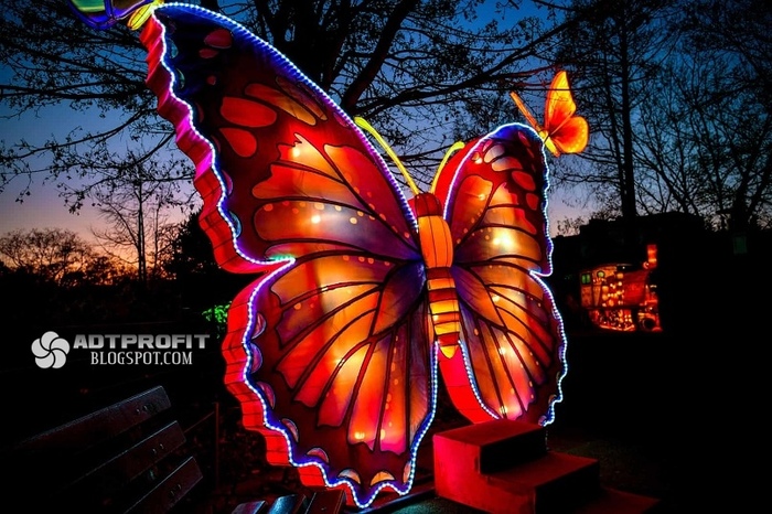 Полет Ночной Бабочки – Эротические Сцены