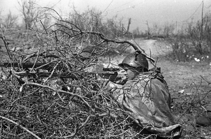 Великая Отечественная война 1941-1945 № 167 Великая Отечественная война, Чтобы помнили, Военный корреспондент, История, Длиннопост
