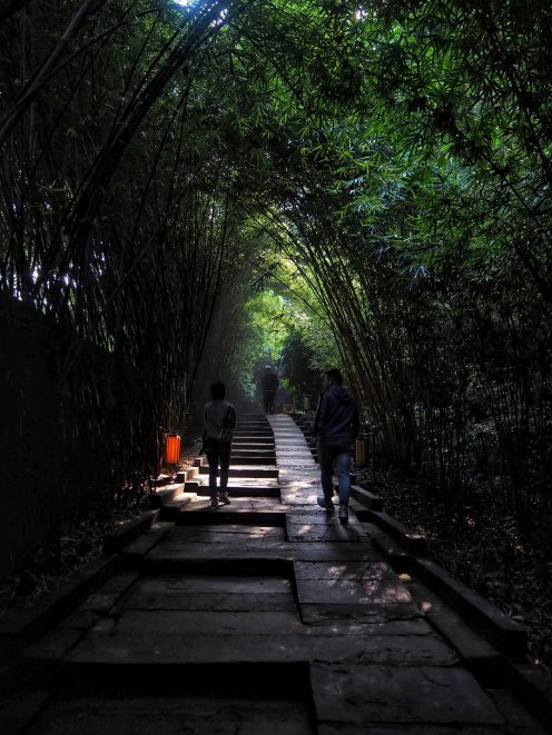 Chengdu - the birthplace of pandas - My, China, Travels, Tourism, Longpost