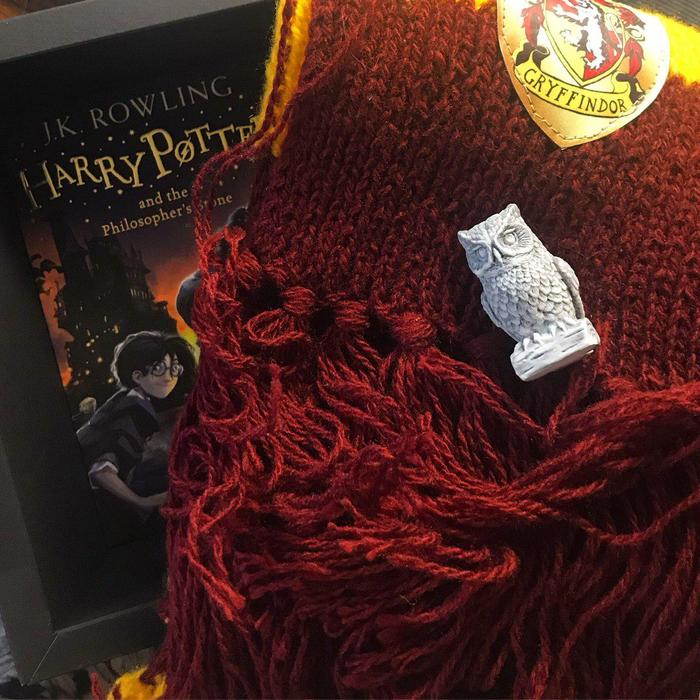 New Year's Eve at (almost) Hogwarts - My, New Year, Presents, Harry Potter, Gryffindor, Video, Longpost