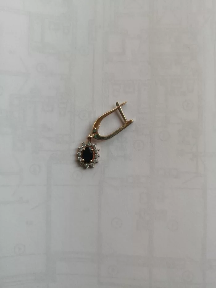 Tula, found an earring - My, Lost and found, No rating