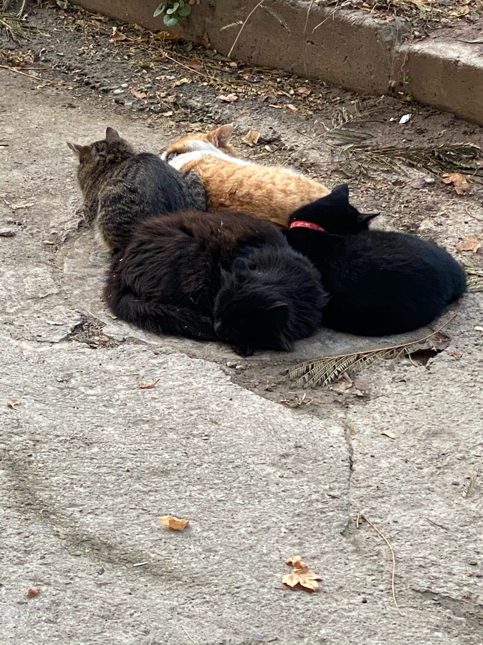 Похолодало