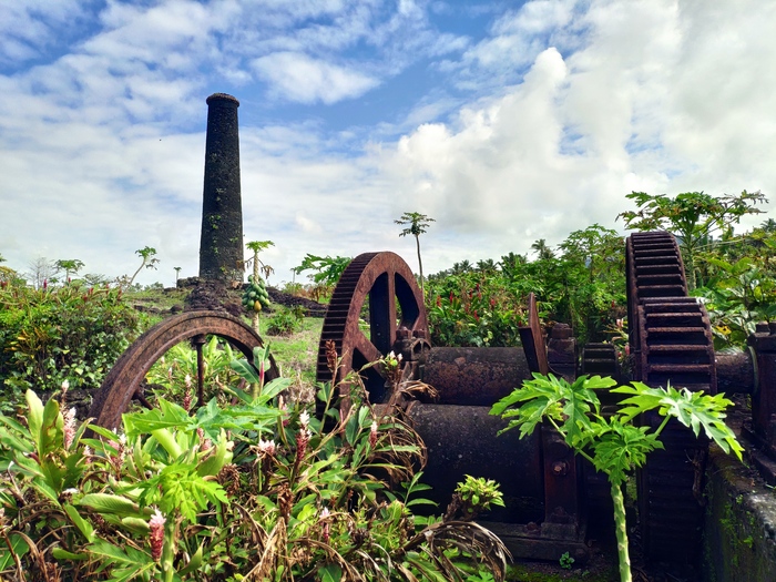 Фиджи. Кокаиновая деревня и Толерантность Фиджи, Путешествия, Гостеприимство, Толерантность, Видео, Длиннопост, Геи Фиджи. Кокаиновая деревня и Толерантность Фиджи, Путешествия, Гостеприимство, Толерантность, Видео, Длиннопост, Геи