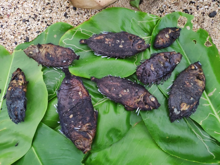 Фиджи. Кокаиновая деревня и Толерантность Фиджи, Путешествия, Гостеприимство, Толерантность, Видео, Длиннопост, Геи Фиджи. Кокаиновая деревня и Толерантность Фиджи, Путешествия, Гостеприимство, Толерантность, Видео, Длиннопост, Геи