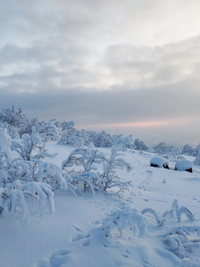 Winter sketches - My, Winter, Landscape, freezing, Nature, Murmansk, Longpost