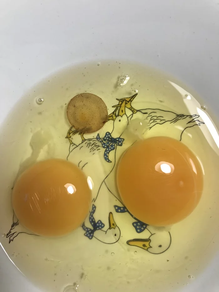 What was that in the egg? - My, Biology, Egg, Tumor, Eggs, Help