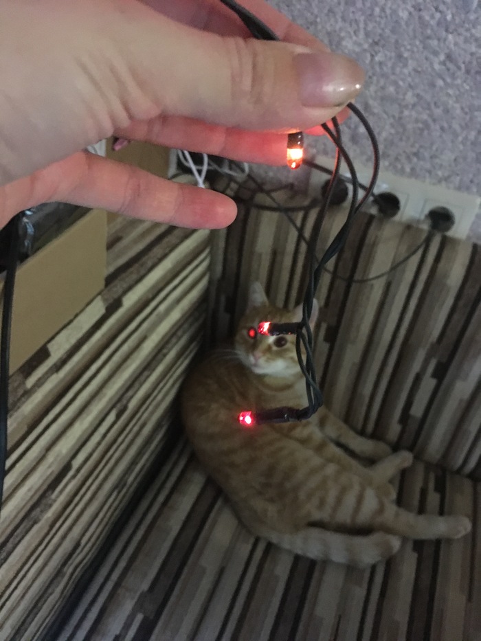 �������������� ��������������