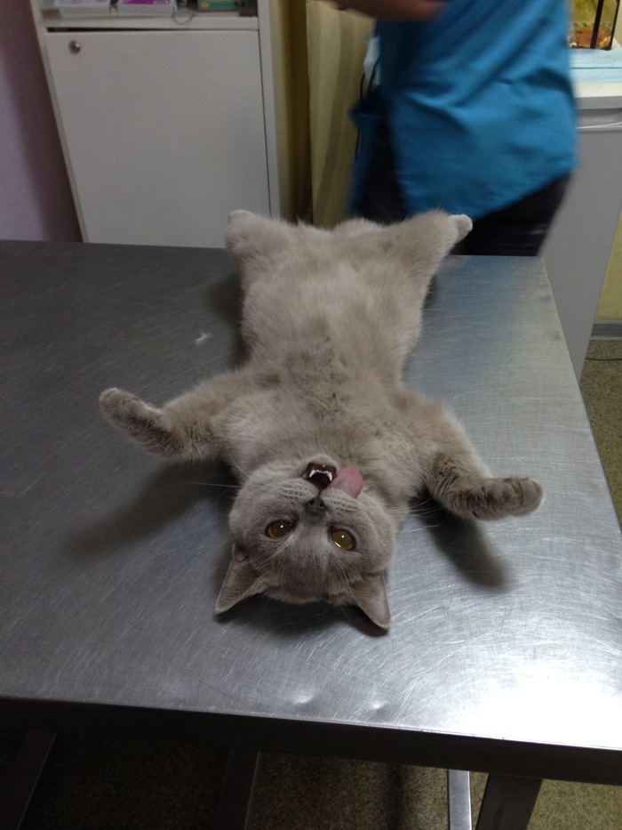 �������� ��������