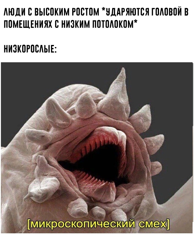    .         , 