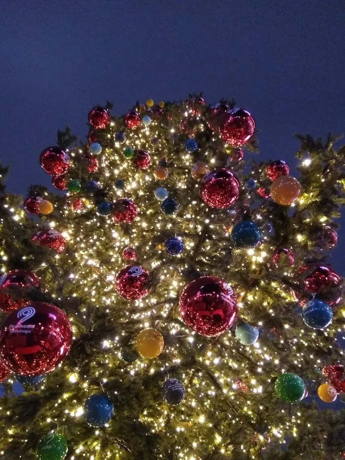 New Year is coming - My, Kievsky Railway Station, Christmas tree, New Year, Morning, Longpost