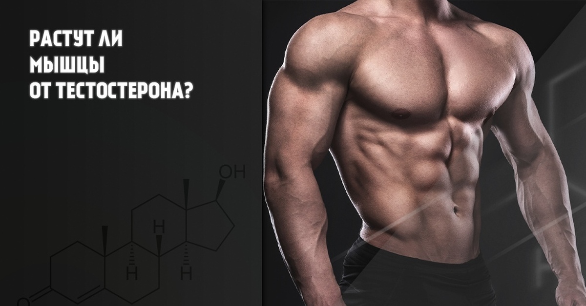 Когда растут мышцы. Мускулатура тестостерон. Мышцы растут. Тренировки для повышения тестостерона для мужчин.