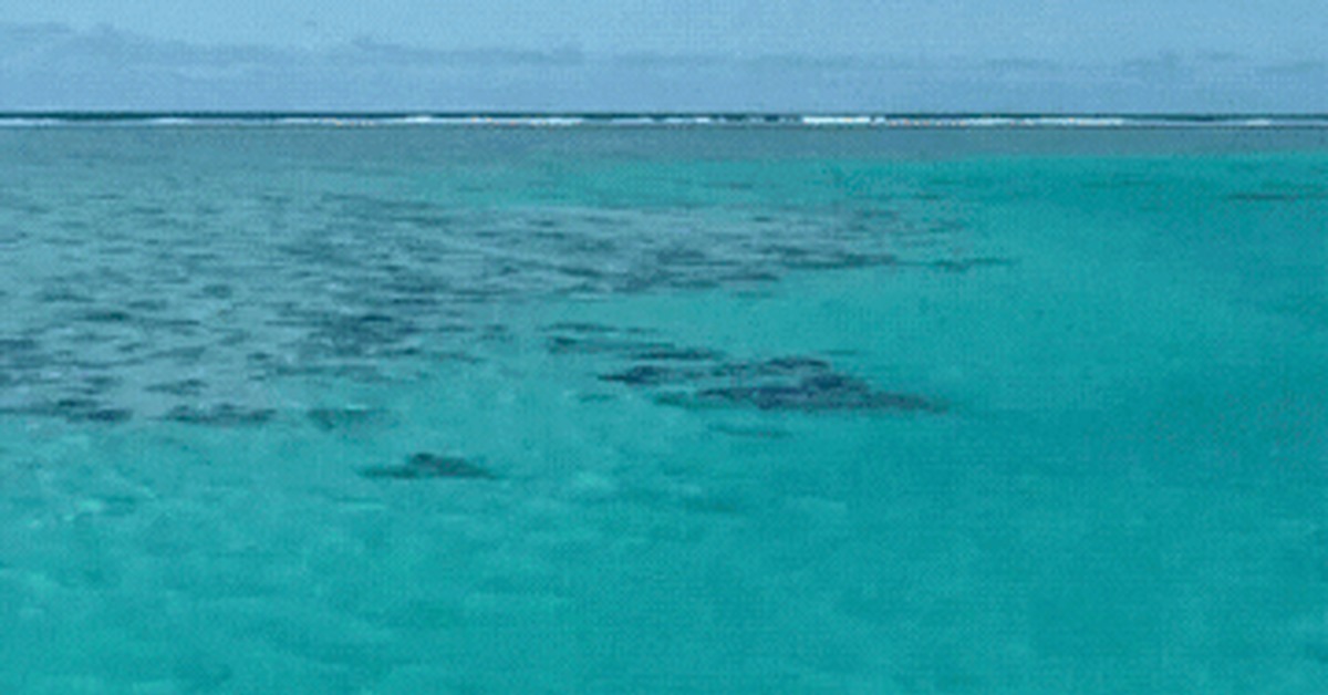 Ленивый серфинг | Пикабу