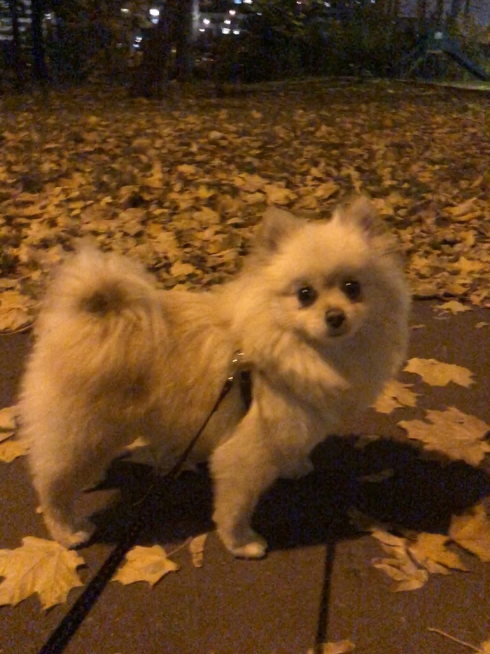 Москва, ищу тебя :)